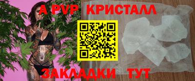 PSILOCYBIN Гатчина