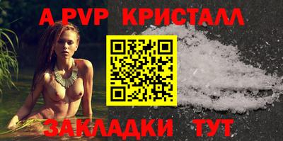 PSILOCYBIN Гатчина