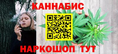PSILOCYBIN Гатчина