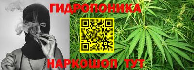 PSILOCYBIN Гатчина