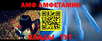 PSILOCYBIN Гатчина