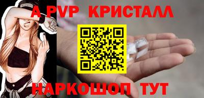 PSILOCYBIN Гатчина