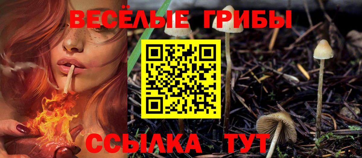 Псилоцибиновые грибы ЛСД Нижний Новгород