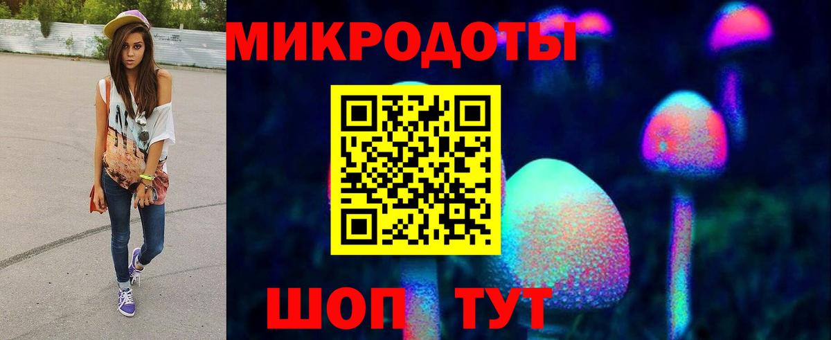 Галлюциногенные грибы Psilocybe  Вход с VPN  Нижний Новгород 