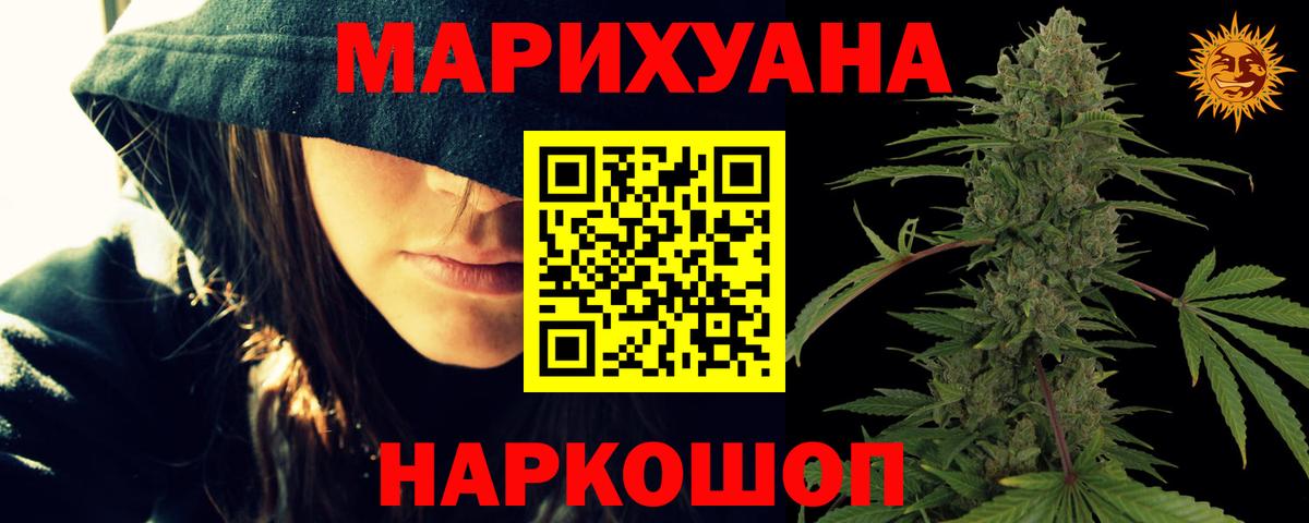 Бошки марихуана семена  Каннабис планчик  Нижний Новгород  Вход с VPN 